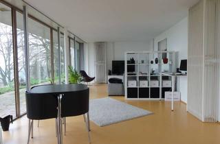 Wohnung mieten in 34613 Schwalmstadt, Sehr helle 2-Raum-Wohnung mit EBK am Schwalmberg