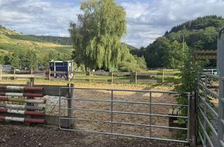 Einfamilienhaus kaufen in Weinstraße 25, 54518 Rivenich, Einfamilienhaus mit genehmigter Pferdehaltung, Reitplatz und Stallhallen