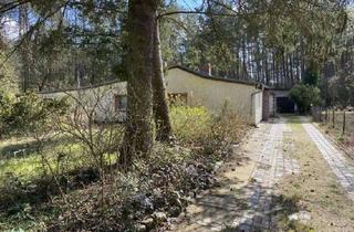 Haus kaufen in 14822 Borkheide, 1.722 m² Waldgrundstück mit zwei Häusern – Wohnen, Vermieten oder Wochenenddomizil