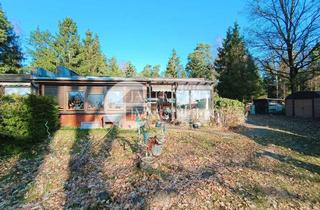 Haus kaufen in 29571 Rosche, Charmantes Holzhaus mit Wintergarten und Sauna