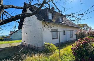 Einfamilienhaus kaufen in 54636 Wißmannsdorf, NATURNAHES FREISTEHENDES 7-ZIMMER EINFAMILIENHAUS MIT WINTERGARTEN IN RHEINLAND-PFALZ