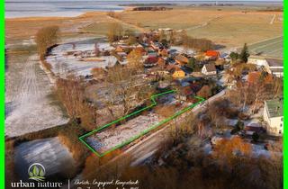 Haus kaufen in 18317 Saal, Landidylle mit Potenzial – Gestalten Sie hier Ihr persönliches Zuhause