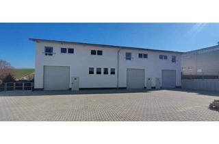 Gewerbeimmobilie mieten in 64853 Otzberg, Gewerbefläche-/Lagerhalle mit elektr. Rolltor auf 2 Ebenen zu vermieten Lagerhalle A