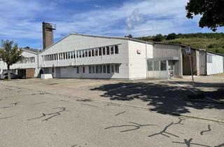 Gewerbeimmobilie mieten in Limburgstr., 79361 Sasbach, Lagerhallen mit 510qm - 690 qm, ab 01.07.2026