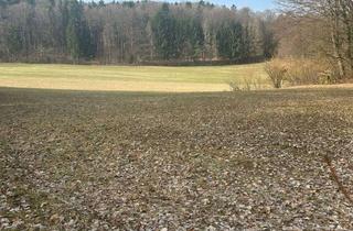 Grundstück zu kaufen in 91355 Hiltpoltstein, Traumgrundstück im Herzen der Fränkischen Schweiz