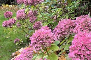 Grundstück zu kaufen in 14193 Grunewald, Attraktives Grundstück in bester Grunewaldlage mit Entwicklungspotenzial!