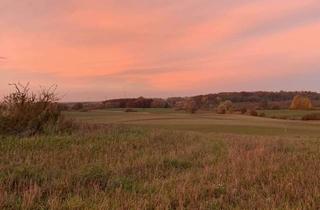 Grundstück zu kaufen in Herzfelder Straße, 17268 Mittenwalde, Baugrundstück 6.961 m² in ruhiger Lage mit Bauvorbescheid – Mittenwalde (Uckermark)