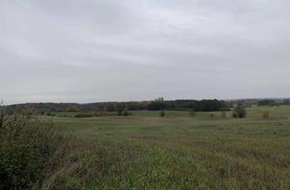 Grundstück zu kaufen in Herzfelder Straße, 17268 Mittenwalde, 6.961 m² in ruhiger Lage mit Bauvorbescheid – Nähe Kuhzer See (Uckermark)