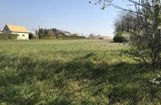 Grundstück zu kaufen in 04463 Großpösna, NATUR PUR & FAMILIEN- GLÜCK: IDYLLISCH WOHNEN NAHE DER GROßSTADT