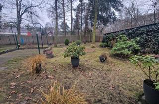 Grundstück zu kaufen in 04849 Bad Düben, Erholen in der Dübener Heide