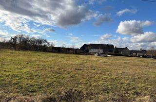 Grundstück zu kaufen in 04680 Zschadraß, Grundstück bei Colditz sofort verfügbar !!