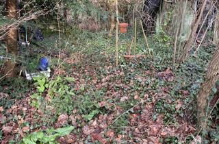 Grundstück zu kaufen in Wartegäßchen 20, 60598 Sachsenhausen, Freizeitgartenfläche mit Potenzial!