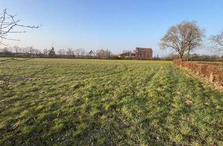 Grundstück zu kaufen in 31718 Pollhagen, ***Idyllisch gelegenes Baugrundstück in Ortsrandlage am Landschaftsschutzgebiet***