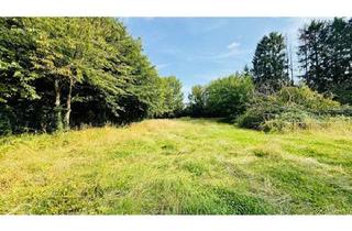 Gewerbeimmobilie kaufen in Drieschstr. 13, 52459 Inden, XXL Wiese mit Albaut (Bestandsschutz) K E I N B A U G R U N D S T Ü C K