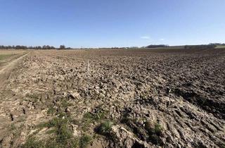 Gewerbeimmobilie kaufen in 94419 Reisbach, Verkauf: Ackerfläche Gemarkung Oberhausen zu 1,1 Hektar mit guter Bonität