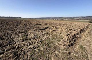 Gewerbeimmobilie kaufen in 94419 Reisbach, Verkauf: Ackerfläche Gemarkung Oberhausen zu 3,2 Hektar