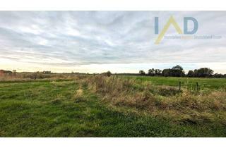 Gewerbeimmobilie kaufen in 26936 Stadland, Attraktive Investition in Grünland und PV-Fläche in der Wesermarsch.