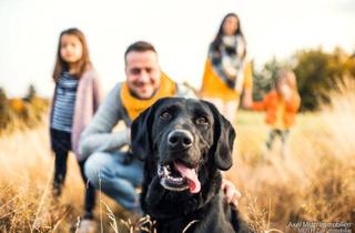 Grundstück zu kaufen in Hebelstraße 13/1, 75050 Gemmingen, Baulücke! Das passende Baugrundstück für Ihr Traumhaus