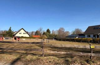 Grundstück zu kaufen in 15926 Heideblick, Baugrundstück auf dem Land - ruhig und grün -