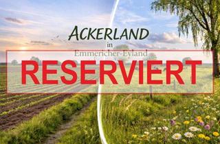 Grundstück zu kaufen in 47546 Kalkar, Gut erreichbares Ackerland in Emmericher-Eyland!
