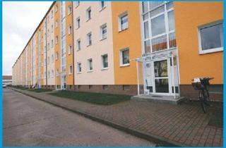 Wohnung mieten in Brandenburger Straße 20, 01587 Riesa, 1-Raum-Wohnung mit Balkon in grüner Wohnlage!