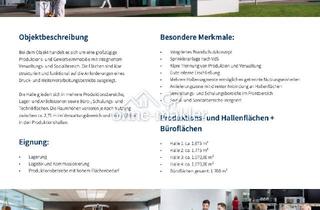 Büro zu mieten in 01445 Radebeul, Büro und Hallenfläche zu vermieten