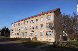 Wohnung mieten in 01665 Klipphausen, Frisch sanierte 3 Raum Wohnung mit Einbauküche