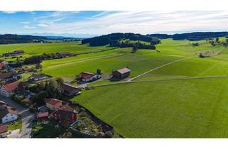 Doppelhaushälfte kaufen in 87662 Osterzell, Zwei Doppelhaushälften inkl. großem Baugrundstück in traumhafter Lage