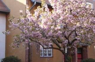 Haus kaufen in Onkel-Bräsig-Straße, 12359 Britz, Wohnen im Unesco Welterbe