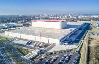 Gewerbeimmobilie mieten in 63526 Erlensee, Neubau einer Lager- und Logistikimmobilie - WGK III möglich!