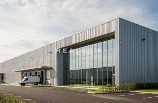 Gewerbeimmobilie kaufen in 75177 Nordstadt, Gewerbeareal mit Lager-/Produktionsflächen zu verkaufen!