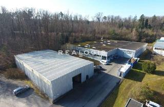 Gewerbeimmobilie mieten in 71299 Wimsheim, Provisionsfrei - Fertigungs-/ & Lagerflächen zu vermieten!