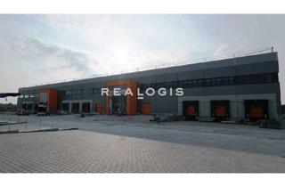 Gewerbeimmobilie mieten in 63526 Erlensee, Logistik/ Produktion - 10,00 m UKB - 5x Rampe