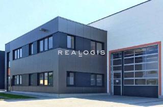 Gewerbeimmobilie mieten in 64625 Bensheim, Lager/ Produktion - bis zu ca. 7,00 m UKB - ebenerdig