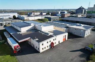 Gewerbeimmobilie mieten in Oberer Westring 41, 33142 Büren, Lagerhalle/Gewerbehalle/Miethalle/Warmhalle/1100+300m²/Hallenkran 10t