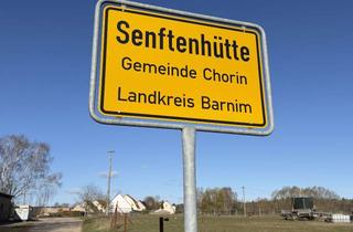 Grundstück zu kaufen in 16230 Chorin, Bauland / Baugrundstück - Schorfheide