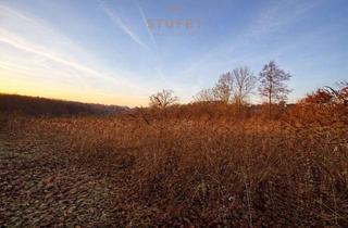 Grundstück zu kaufen in 58453 Witten, Baugenehmigt & Erschlossen: Ihr Wohntraum zwischen Panoramablick und Waldrand