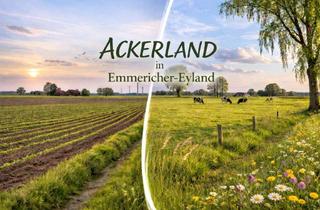 Gewerbeimmobilie kaufen in 47546 Kalkar, Gut erreichbares Ackerland in Emmericher-Eyland!