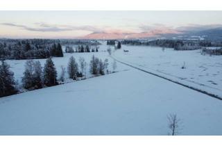 Gewerbeimmobilie kaufen in 82392 Habach, Wald und Mooswiese 76587m²