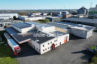 Büro zu mieten in Oberer Westring 41, 33142 Büren, Lagerhalle/Gewerbehalle/Miethalle/Warmhalle/1100+300m²/Hallenkran 10t