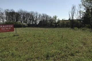 Immobilie kaufen in 04463 Großpösna, NATUR PUR & FAMILIEN- GLÜCK: IDYLLISCH WOHNEN NAHE DER GROßSTADT