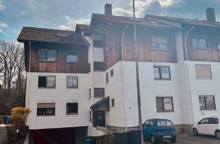 Wohnung kaufen in 63741 Aschaffenburg, Aschaffenburg - Modern, renoviert - ideal für Single oder Paare