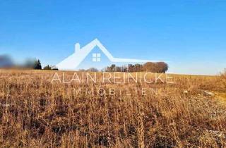 Grundstück zu kaufen in 09405 Gornau, Gornau/Erzgeb. - Ihr Traum vom Eigenheim - Bauen in Gornau