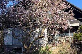 Einfamilienhaus kaufen in 14089 Berlin, Berlin - Provisionsfrei in Kladow - Freistehendes Haus mit Naturgarten, Photovoltaik für die Großfamilie