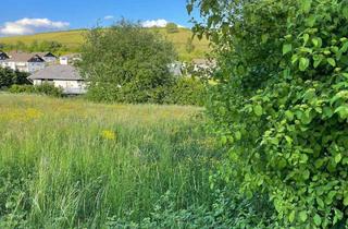 Grundstück zu kaufen in 54597 Burbach, Burbach - Grundstück zu verkaufen in Burbach 50.000,00 ? 1100 m²