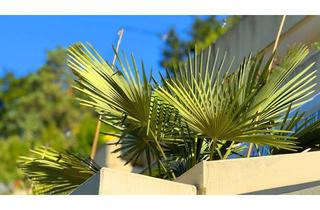 Wohnung kaufen in 72488 Sigmaringen, WOLFGANG SODENKAMP /// ErdgeschoßWohnung in guter Lage *PROVISIONSFREI