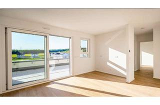Penthouse kaufen in Am Rotweg, 74379 Ingersheim, 2,5 Zi. Penthouse mit großzügiger Dachterrasse und Weitblick