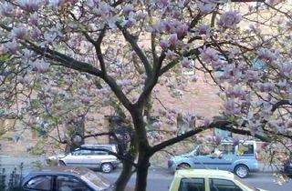 Wohnung mieten in Krüllsdyk 13, 47803 Inrath/Kliedbruch, Praktische 2-Zimmer-Wohnung mit Balkon