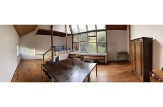 Wohnung mieten in Langenthalerstraße 33, 69239 Neckarsteinach, Helle 2,5-Zimmer Atelierwohnung mit Terassen und Garten Raum Neckarsteinach