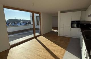 Penthouse mieten in 88239 Wangen, Penthousewohnung - Erstbezug